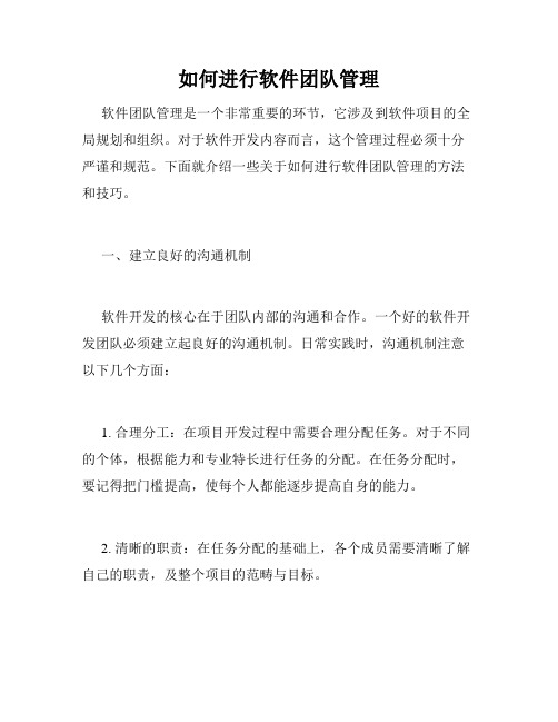 如何进行软件团队管理