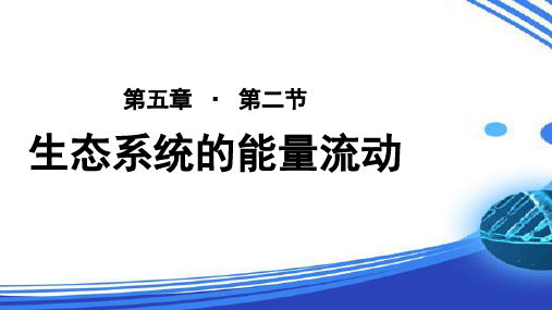 《生态系统的能量流动》 教学PPT课件【人教版高中生物必修3】