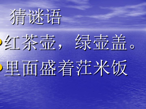 青岛版五年级下册11.种辣椒