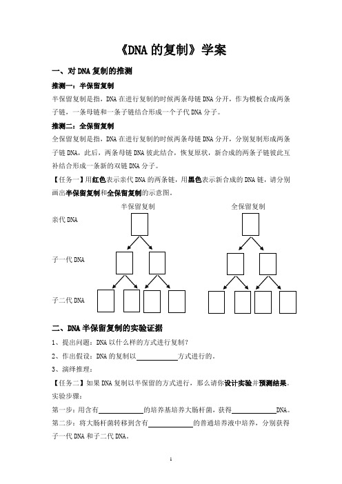 DNA的复制学案-高一下学期生物人教版必修2