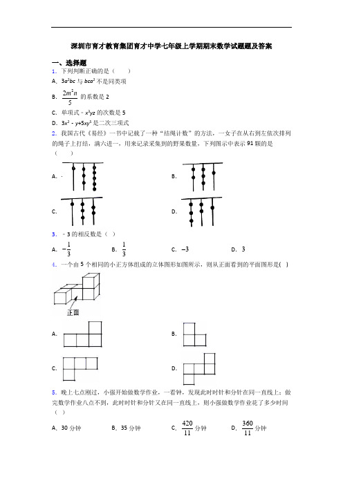 深圳市育才教育集团育才中学七年级上学期期末数学试题题及答案