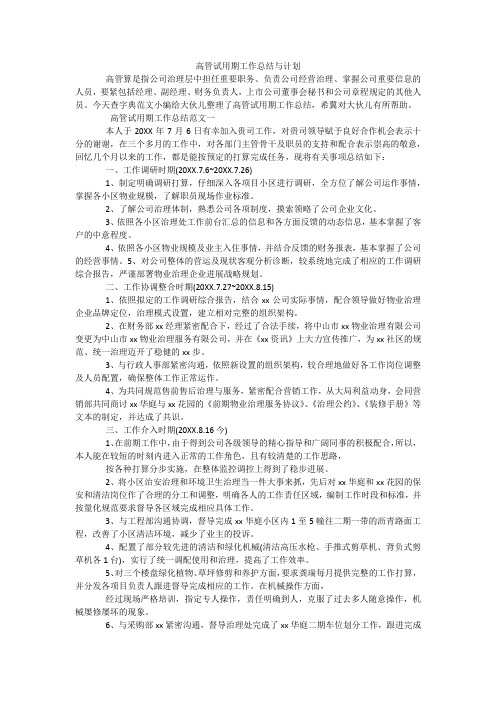 高管试用期工作总结与计划