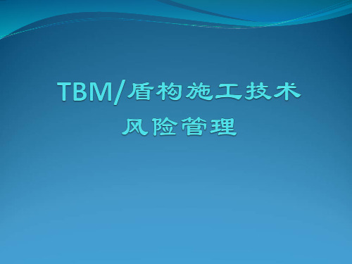 TBM-盾构施工技术及风险管理