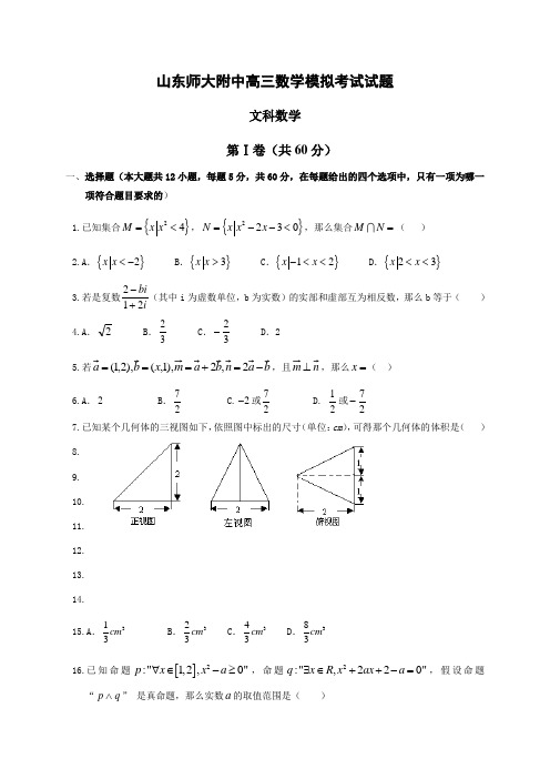 山东师大附中高三数学模拟考试试题
