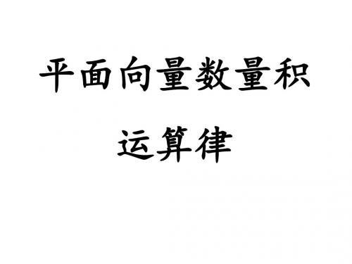 高二数学向量数量积的运算律1(新编201908)