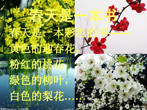 春天是一本书2