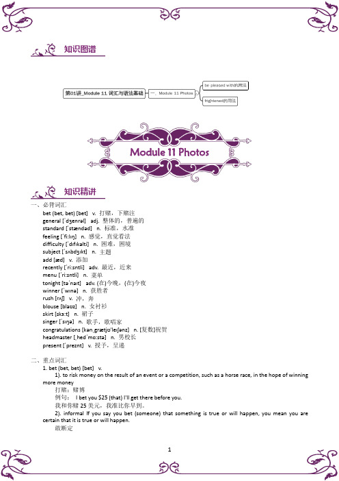 外研社九年级上册英语 Module 11 词汇与语法基础(解析版) (1)