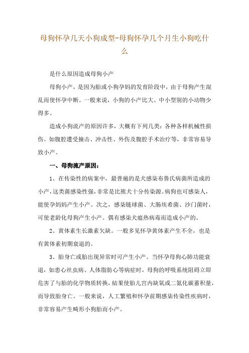 母狗怀孕几天小狗成型-母狗怀孕几个月生小狗吃什么