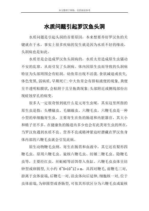 水质问题引起罗汉鱼头洞