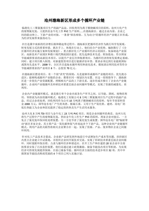 沧州渤海新区形成多个循环产业链