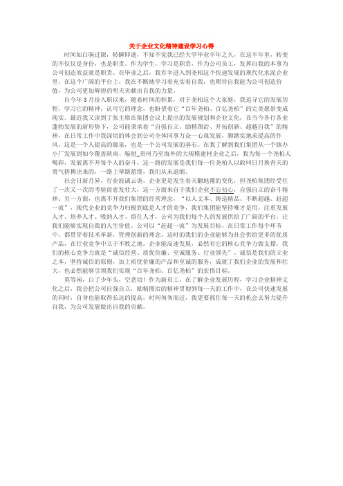 关于企业文化精神建设学习心得