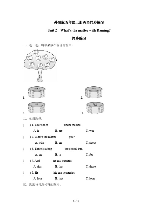 外研版五年级上册英语Module 4Unit 2 同步练习