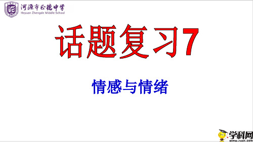 广东省河源市正德中学九年级英语中考复习课件：话题复习7情感与情绪(共17张PPT)