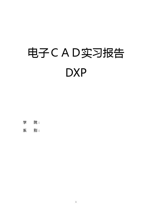 DXP实习报告