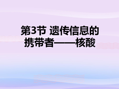 人教版 高一生物 必修一 第二章 第3节-遗传信息的携带者——核酸