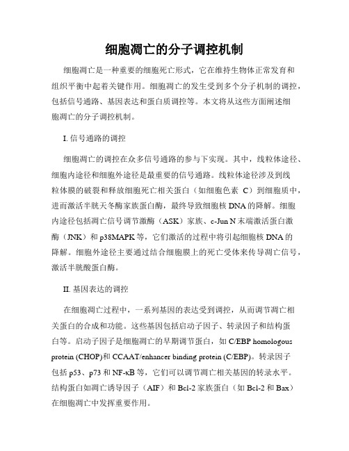 细胞凋亡的分子调控机制