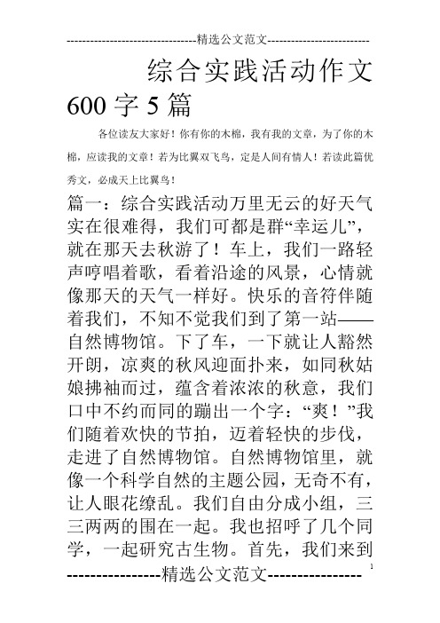 综合实践活动作文600字5篇