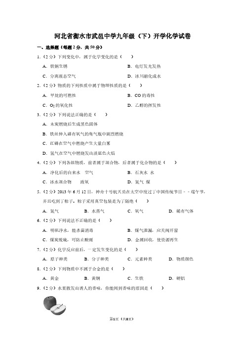 河北省衡水市武邑中学九年级(下)开学化学试卷 (2)