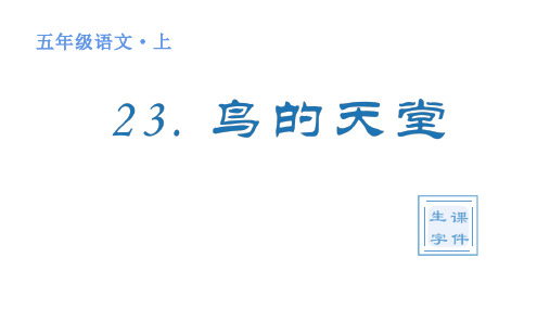 人教版(部编)五年级语文上册第七单元(生字课件)23 鸟的天堂