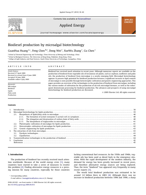 biodiesel from microagle