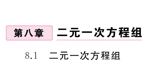 人教版七年级下册数学作业课件 第八章 二元一次方程组 (3)