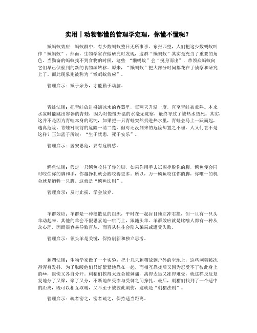 实用丨动物都懂的管理学定理,你懂不懂呢