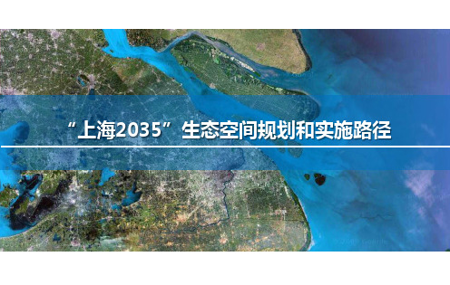 上海2035生态空间规划和实施路径