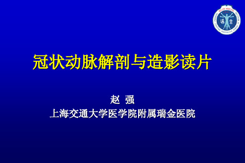 冠状动脉解剖与造影读片