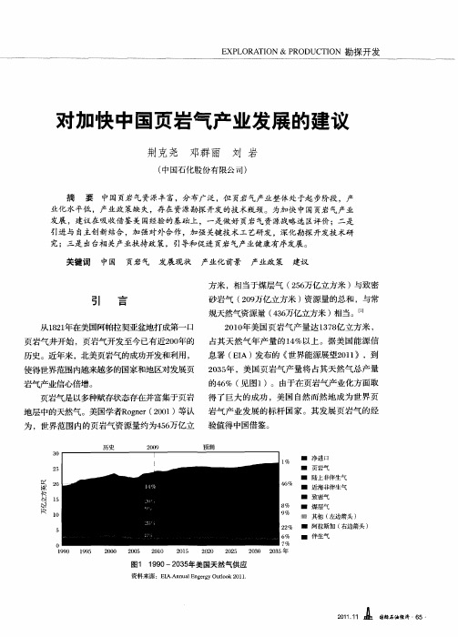 对加快中国页岩气产业发展的建议