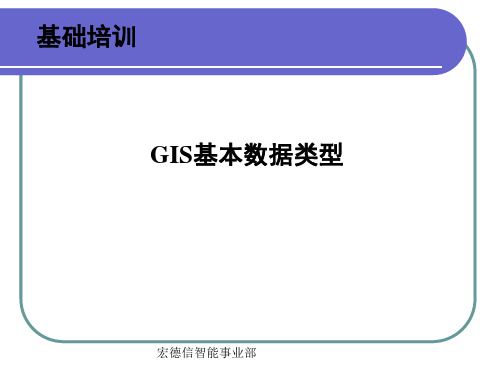 GIS基本数据类型