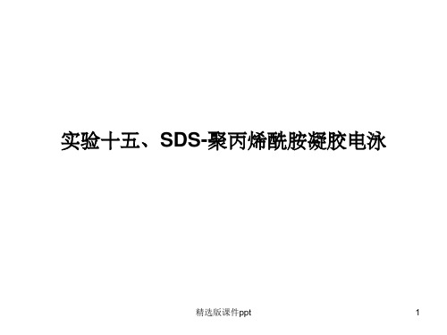 SDS-聚丙烯酰胺凝胶电泳简单原理和步骤