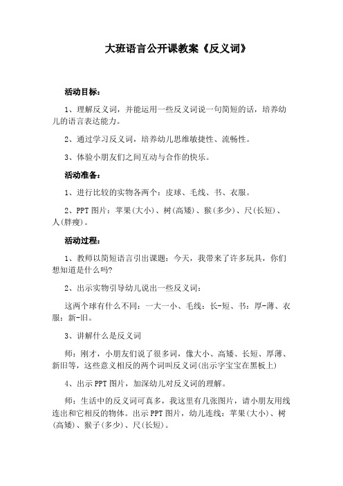 大班语言公开课教案《反义词》