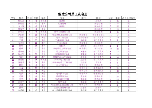 博思智联-三峡总公司-能达公司员工花名册