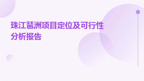 珠江琶洲项目定位及可行性分析报告