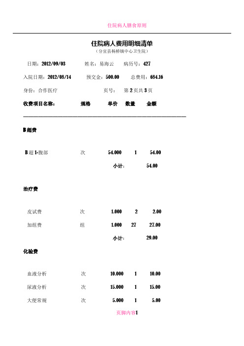 住院病人费用明细清单