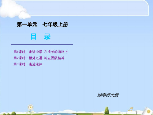 思想品德七年级(上)第一单元复习ppt优秀课件1 湖南师大版
