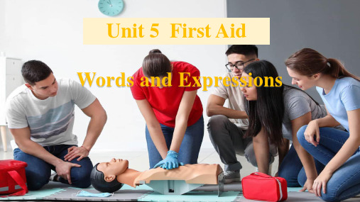 2019新人教高中英语选择性必修二Unit5FirstAid-单元词汇教学课件