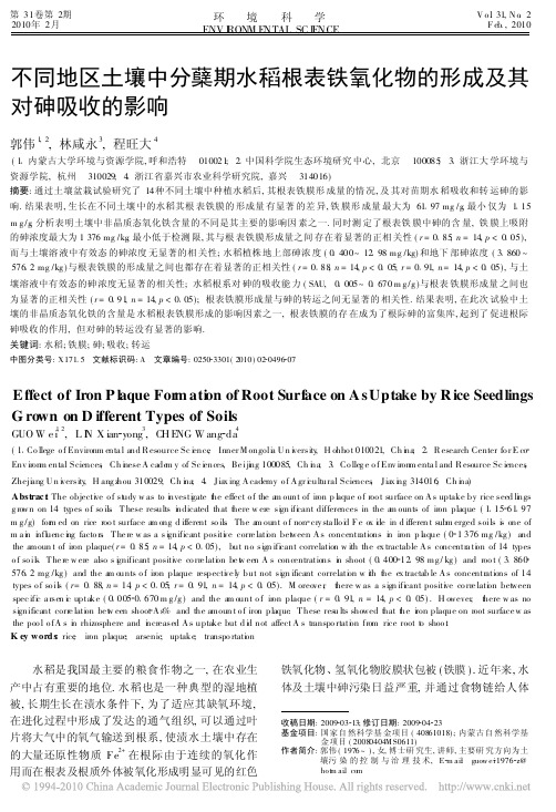 不同地区土壤中分蘖期水稻根表铁氧化物的形成及其对砷吸收的影响