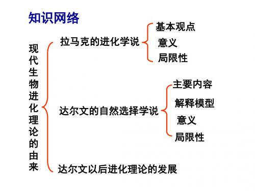 人教版高一生物必修二(课件)7.2生物进化理论的内容 (共71张PPT)