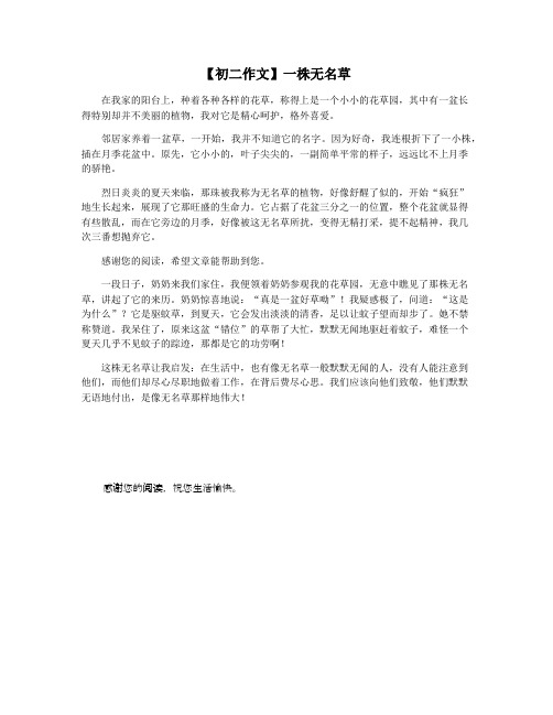 【初二作文】一株无名草