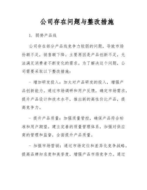 公司存在问题与整改措施