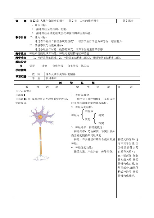 教案人体的神经调节