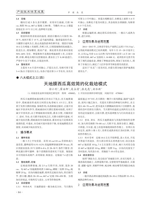 天地膜西瓜高效简约化栽培模式