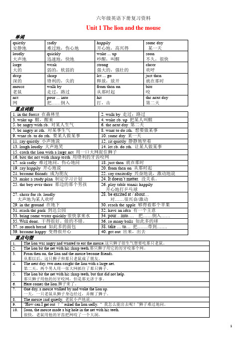 译林版(三起)六年级下册英语知识点整理