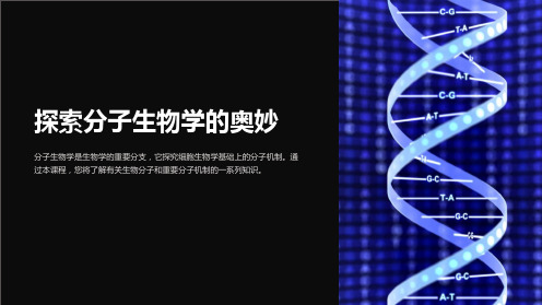 《高中生物分子生物学全套PPT课件》