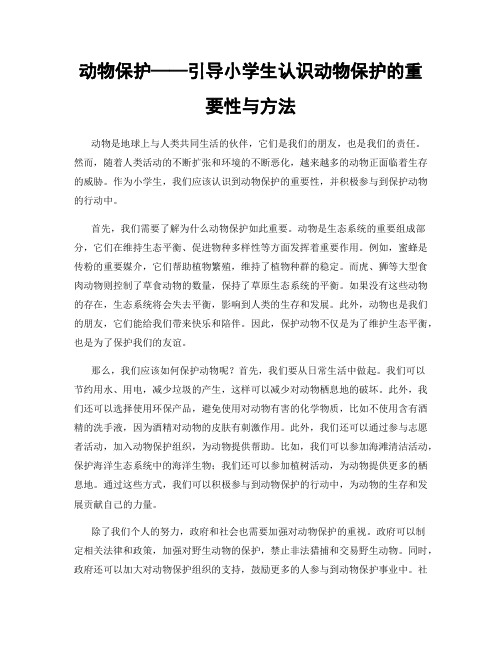 动物保护——引导小学生认识动物保护的重要性与方法