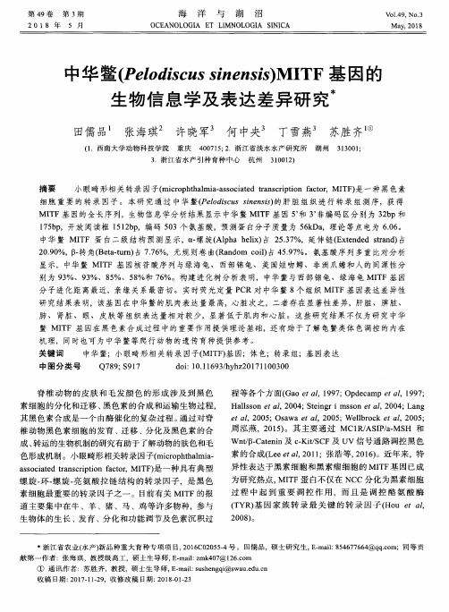 中华鳖(Pelodiscus sinensis)MITF基因的生物信息学及表达差异研究