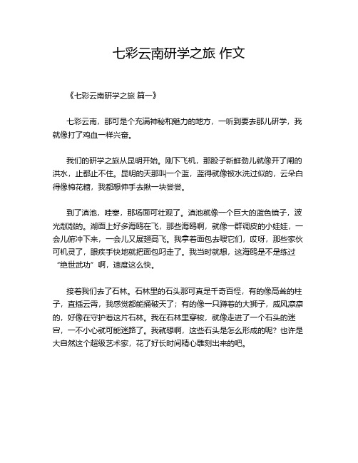 七彩云南研学之旅 作文