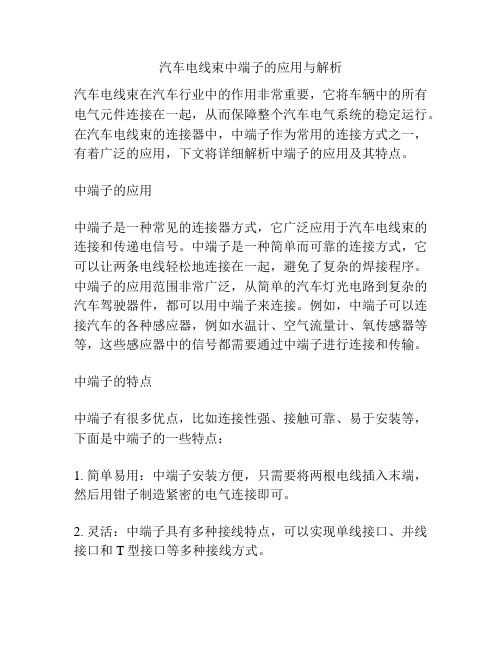 汽车电线束中端子的应用与解析