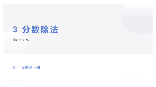 苏教版六年级上册数学第三单元树叶中的比(课件)